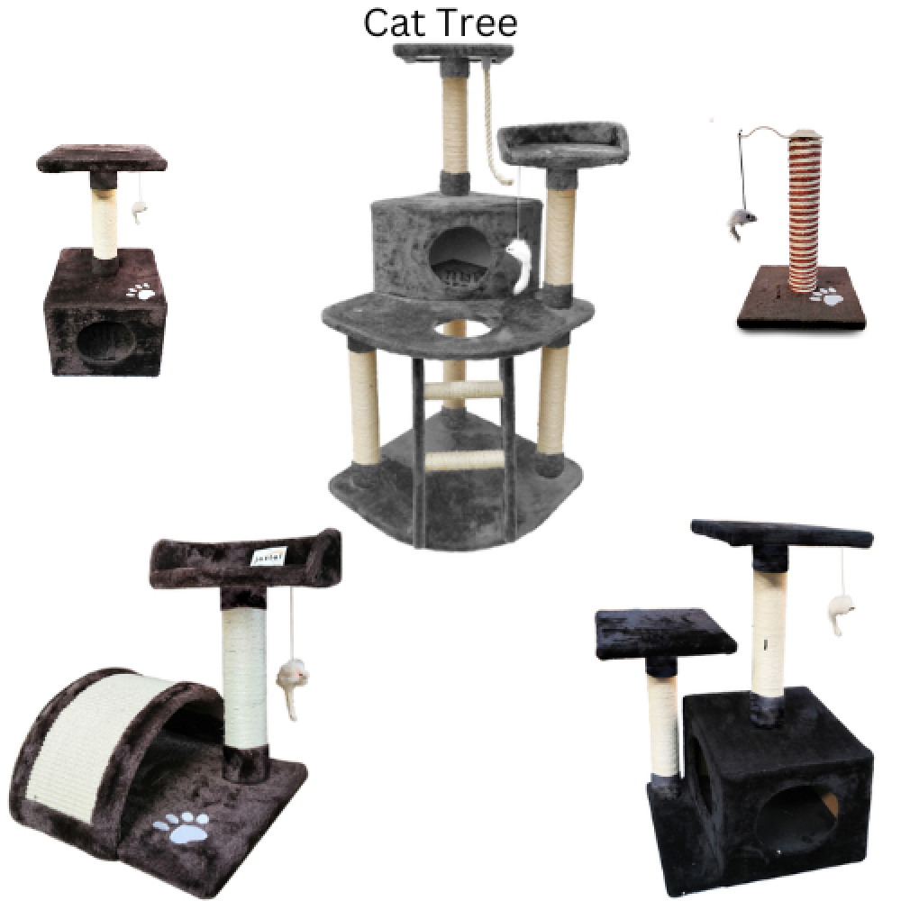 Cat Tree/Litter